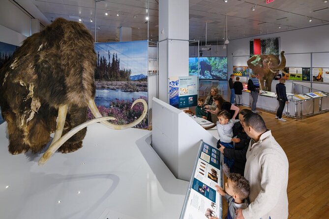 American Museum of Natural History Admission Ticket - What the AMNH admission pass really includes