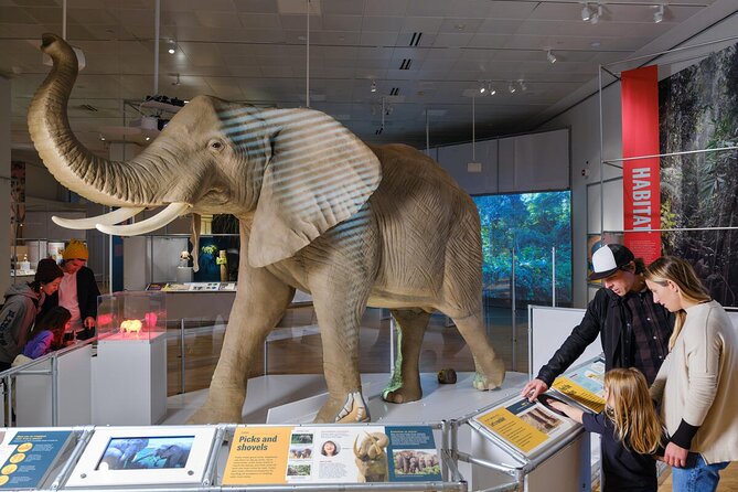 American Museum of Natural History Admission Ticket - Akeley Hall for mammals: Asian elephants with real gravitas