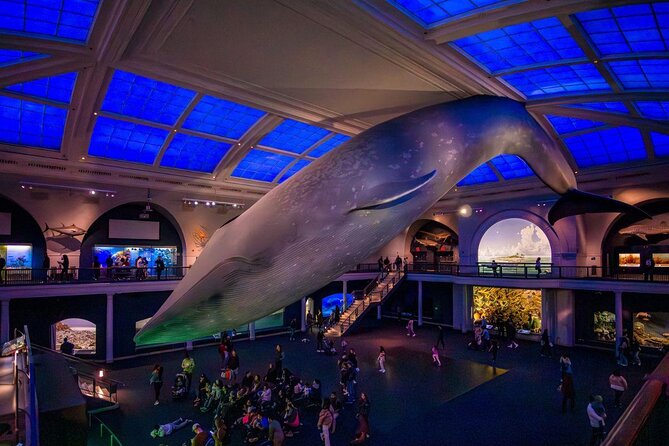 American Museum of Natural History Admission Ticket - Price and value: is $37 worth it?