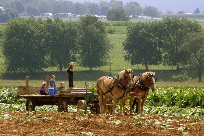 Amish Experience SuperSaver Package - Price and Logistics: What You’re Really Paying For