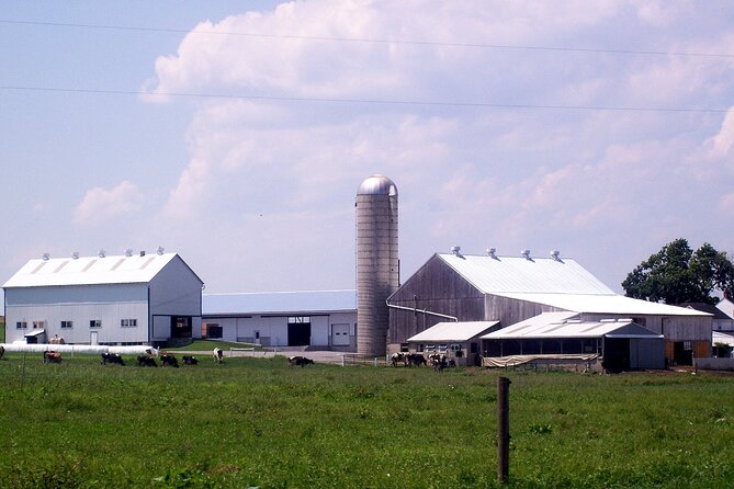 Amish Experience SuperSaver Package - Stop 3: Amish Country Homestead Walk-Through (Replica House and One-Room School)