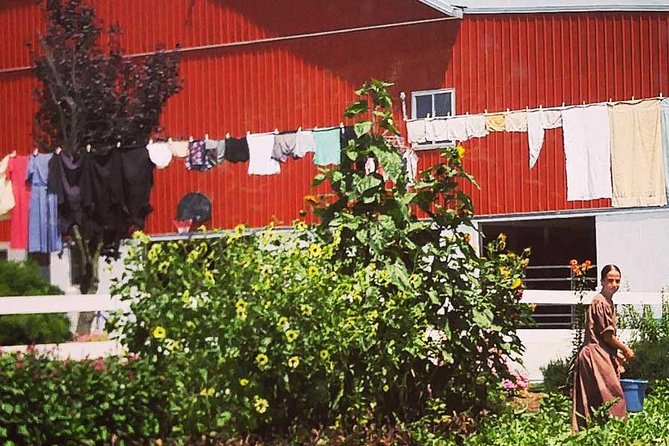 Amish Experience SuperSaver Package - Stop 1: Amish Farmlands Tour by Air-Conditioned 14 Passenger Mini Bus