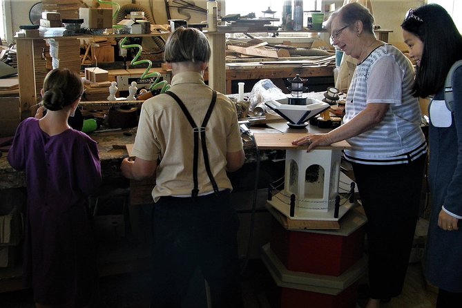 Amish Experience Visit-In-Person Tour - A 3-Stop Day in Amish Country, With Conversation at the Center