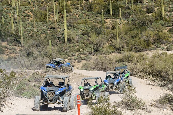 Ancient Ruins Tour - Guided Arizona Desert Tour by UTV - Quick highlights for first-time UTV riders