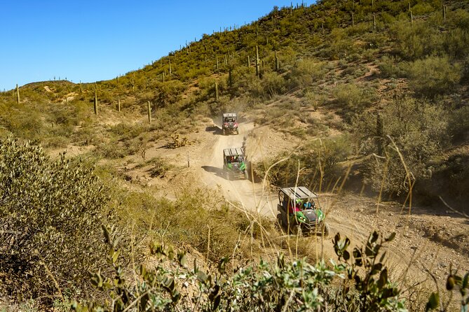 Ancient Ruins Tour - Guided Arizona Desert Tour by UTV - Bradshaw Mountains: the trail driving you came for