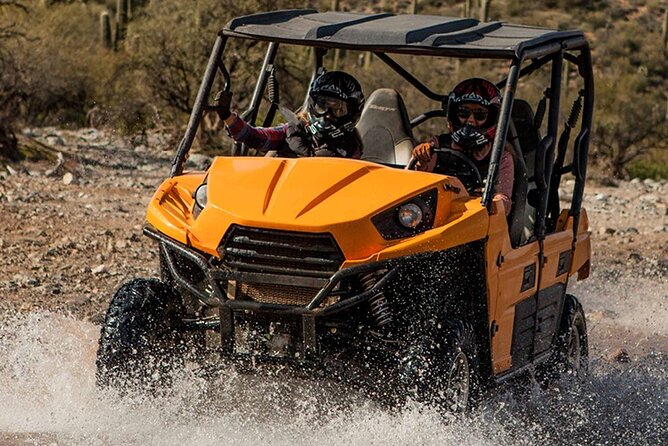 Ancient Ruins Tour - Guided Arizona Desert Tour by UTV - Desert wildlife and plant talk during the ride