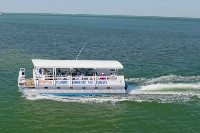 Anna Maria Island Dolphin Sightseeing Adventure - Key Things You’ll Notice Right Away