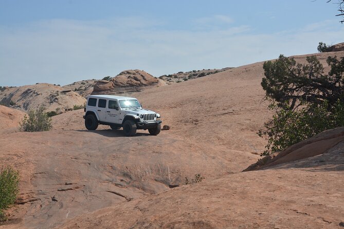 Arches National Park Back Country Adventure from Moab - Stop-by-stop: Windows, Sand Dune Arch, and the big-name viewpoints
