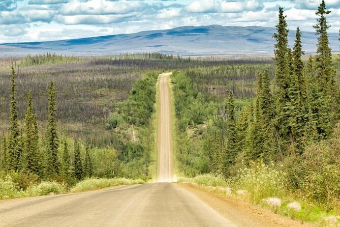 Arctic Circle Day Tour - Key things that make this Arctic Circle tour work