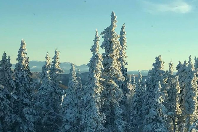 Arctic Circle Day Tour - Stop 2: Hilltop Restaurant and Marketplace for pies and a break