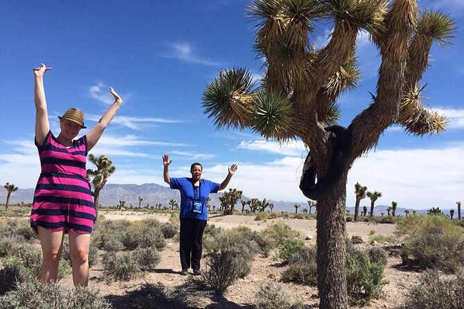Area 51 Day Tour from Las Vegas with Alien and UFO Hotspots - Pickup timing and the small-group ride comfort