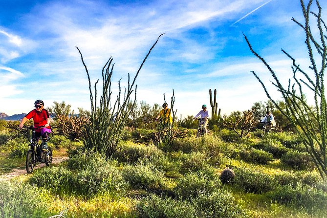 Arizona Desert Guided E-Bike Adventure - Why an e-bike ride here beats an ATV day