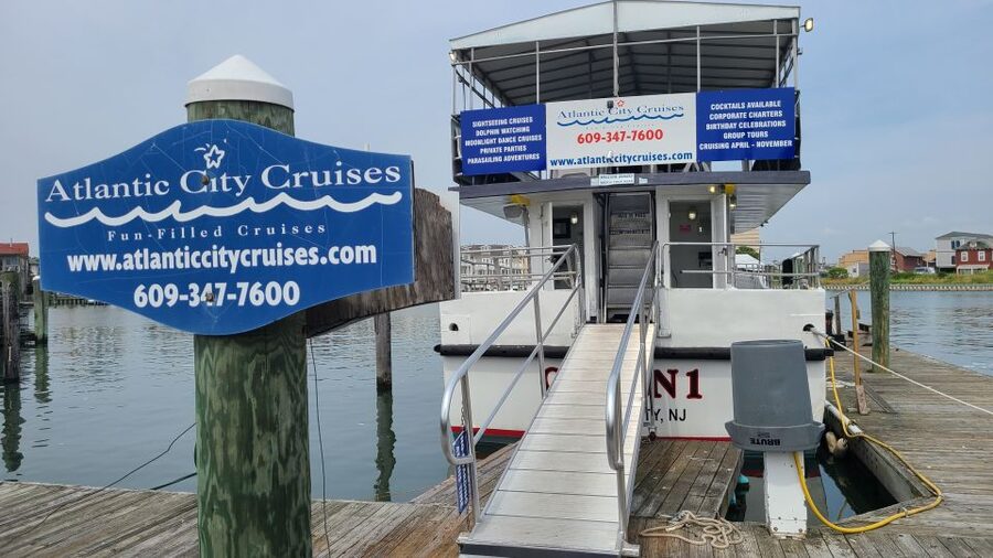 Atlantic City: Dolphin Watching Ocean Cruise Adventure - What the dolphin sightings can look like