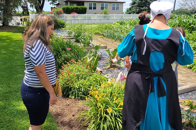 Authentic Tour & Meal with the Amish! - Guides who connect the dots, from Moses to Dale to David