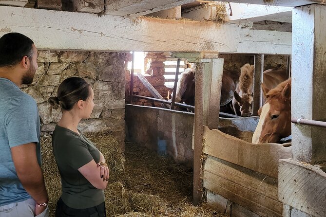 Authentic Tour & Meal with the Amish! - Price and value: $99 for lunch plus a guided Amish experience