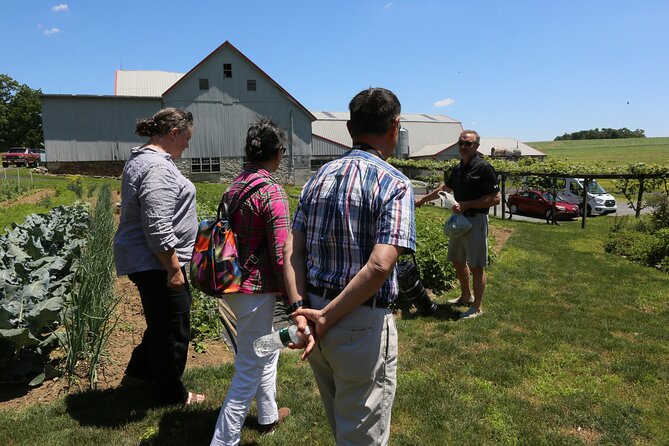Authentic Tour & Meal with the Amish! - Who should book this Amish lunch tour?