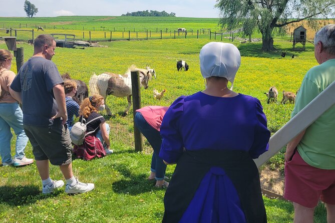 Authentic Tour & Meal with the Amish! - The narrated van ride through Amish country and covered bridges