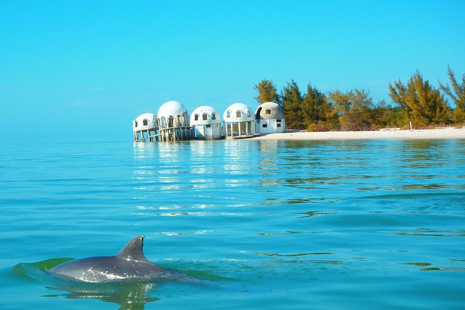 Avi's Premium Dolphin Tour by Jet Ski - Goodland Boat Park Start: The 12:00 Pm Plan