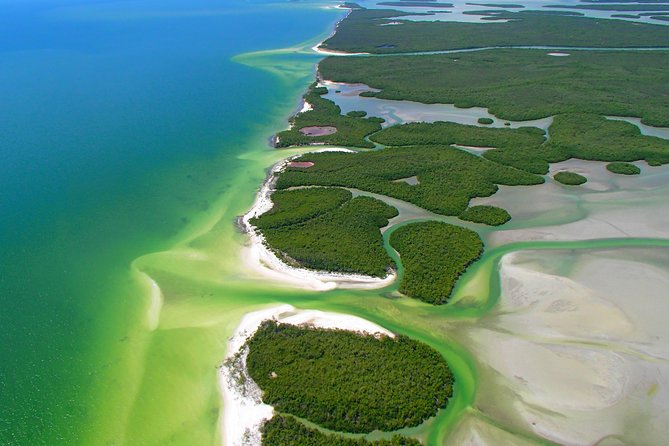 Avi's Premium Dolphin Tour by Jet Ski - Naples, Marco Island, And Why The Location Makes Sense