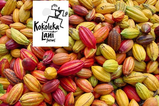 Award Winning Farm Tour: Coffee, Chocolate and Unique Gifts - Chocolate on the farm: from cacao talk to award-winning tastings