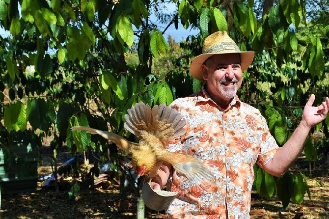 Award Winning Farm Tour: Coffee, Chocolate and Unique Gifts - When to go and how to handle weather, time, and parking
