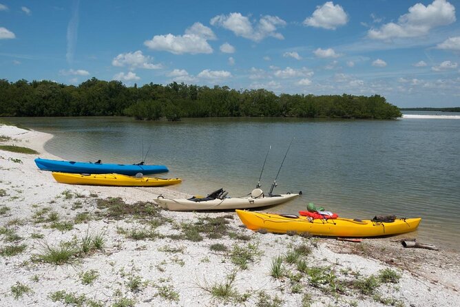 Backwater Adventure's CraigCat Tours of the 10,000 Islands - Key Things That Make This CraigCat Tour Worth Your Time