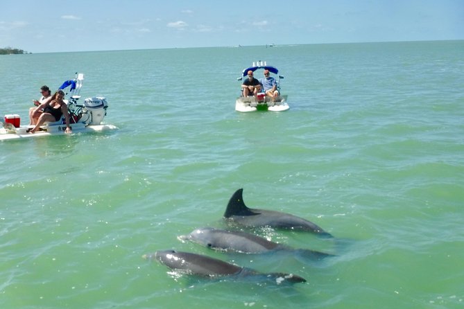 Backwater Adventure's CraigCat Tours of the 10,000 Islands - Cruising the Ten Thousand Islands: What the Wildlife Hunt Feels Like