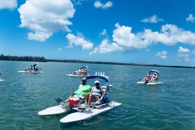 Backwater Adventure's CraigCat Tours of the 10,000 Islands - Island Time for Shells, Short Stops, and Wet-Wear Reality