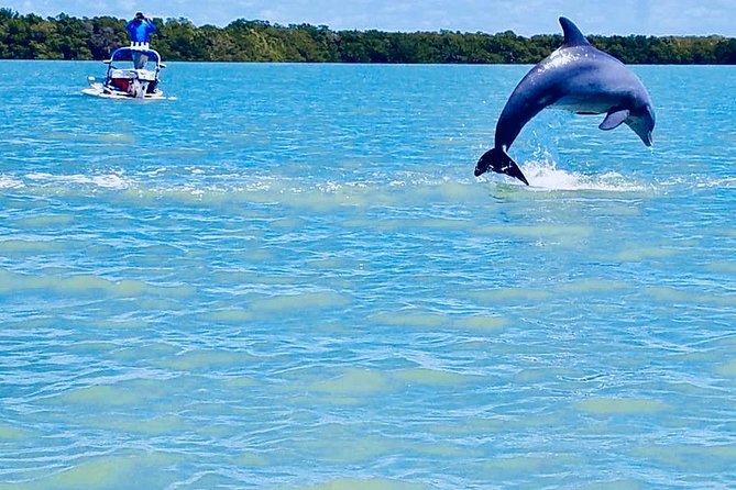Backwater Adventure's CraigCat Tours of the 10,000 Islands - Photo Tips and What to Bring So You Don’t Miss It