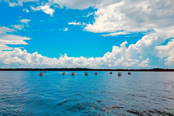 Backwater Adventure's CraigCat Tours of the 10,000 Islands - Price and Value: Is $135 Worth It for a 1.5 to 2.5 Hour Ride?