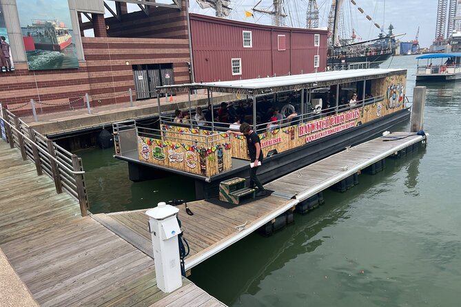 Baywatch Dolphin Tours – Pier 21 Galveston - Key highlights worth your attention