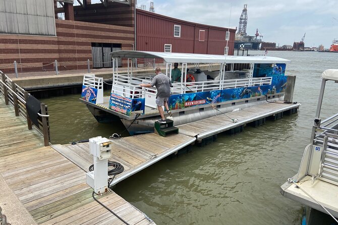 Baywatch Dolphin Tours – Pier 21 Galveston - Your ride setup: enclosed, heated, and built for 360-degree watching