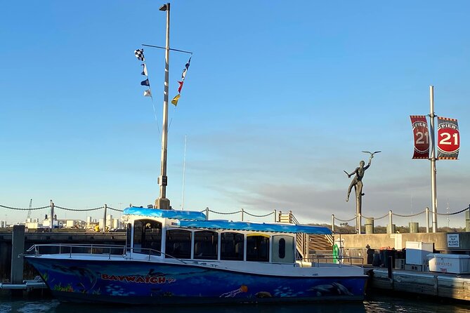 Baywatch Dolphin Tours – Pier 21 Galveston - Who should book this dolphin cruise and who should skip it