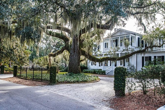 Beaufort City Minibus Tour - Bay Street downtown: where your “Beaufort sense” clicks