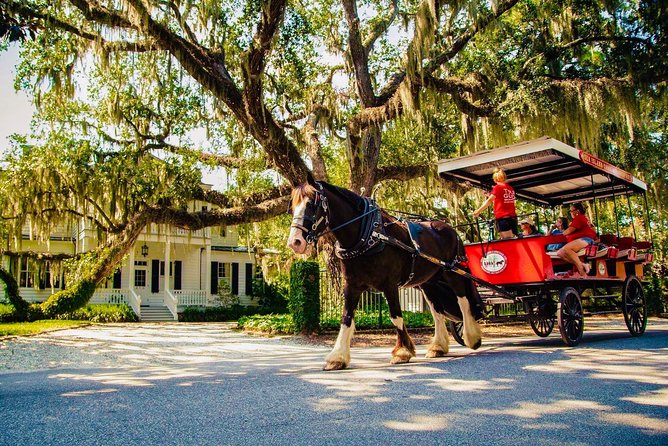 Beaufort’s #1 Horse & Carriage History Tour - Key Highlights You Will Feel During the Ride