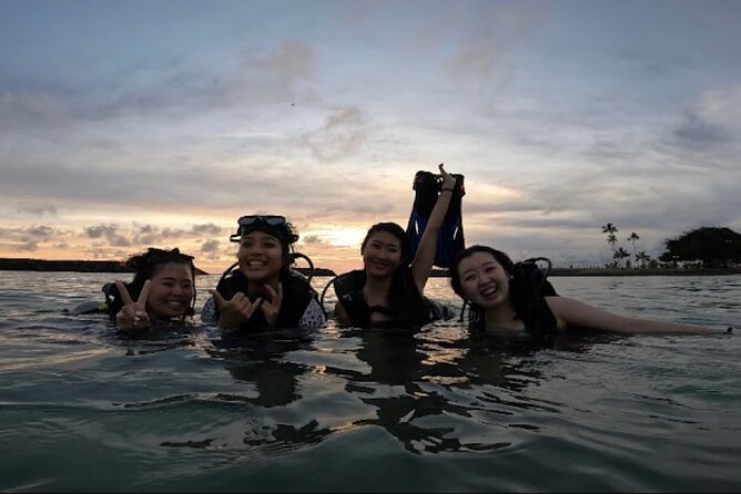 Beginner Scuba Diving Experience with Video Package in Honolulu - What you might see in Magic Island Lagoon (fish, turtles, and surprises)