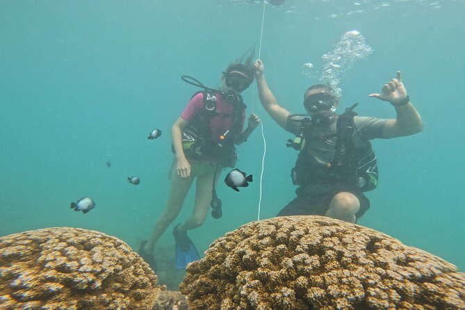 Beginner Scuba Diving Experience with Video Package in Honolulu - Itinerary on the ground: what happens at Magic Island