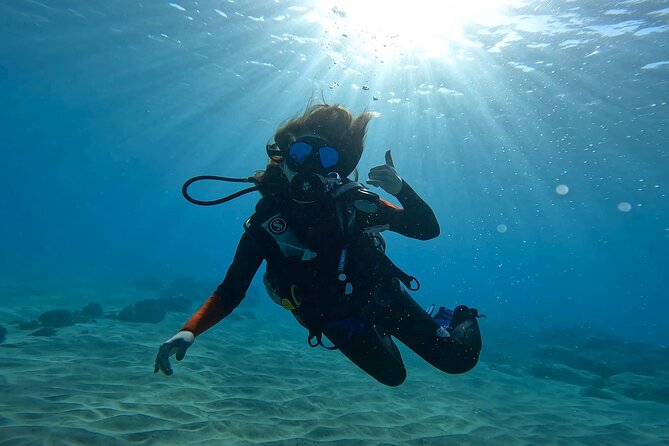 Beginner Scuba Diving Experience with Video Package in Honolulu - Who should book this beginner scuba experience