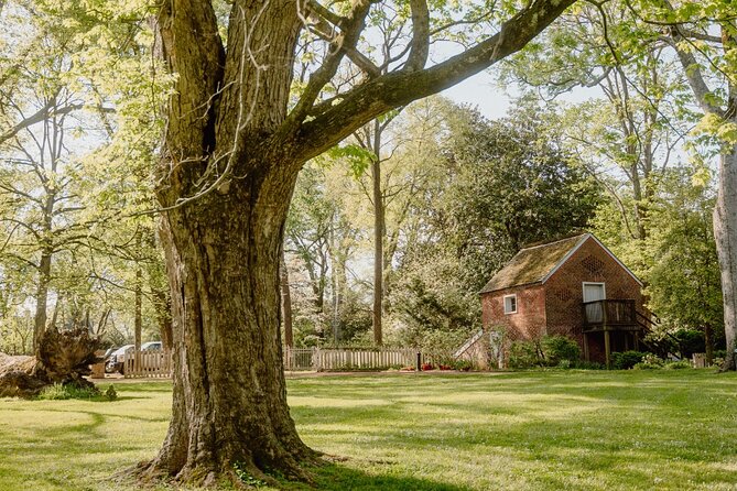Belle Meade Guided Mansion Tour with Complimentary Wine Tasting - Outdoor games and the Meat and Three restaurant stop