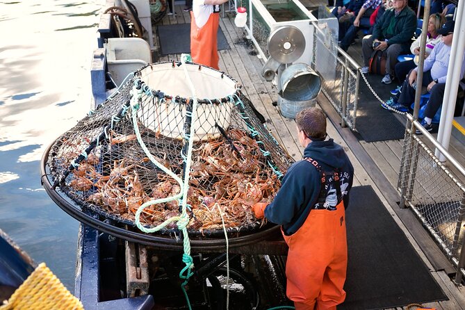 Bering Sea Crab Fisherman's Tour from Ketchikan - How the 3-hour route stays busy, from Annette Bay to the crab pots