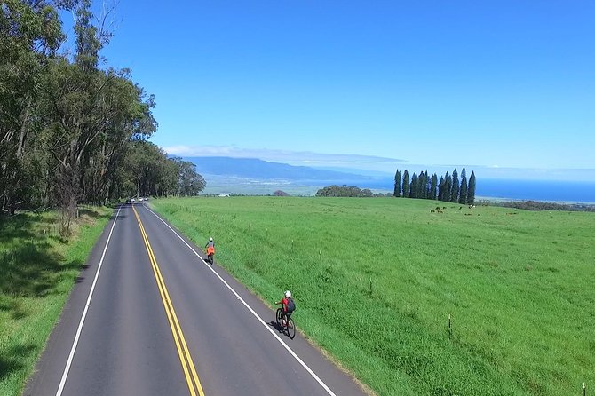 Best Haleakala Downhill Self-Guided Bike Tour with Maui Sunriders - Why this Haleakala downhill ride works as self-guided freedom