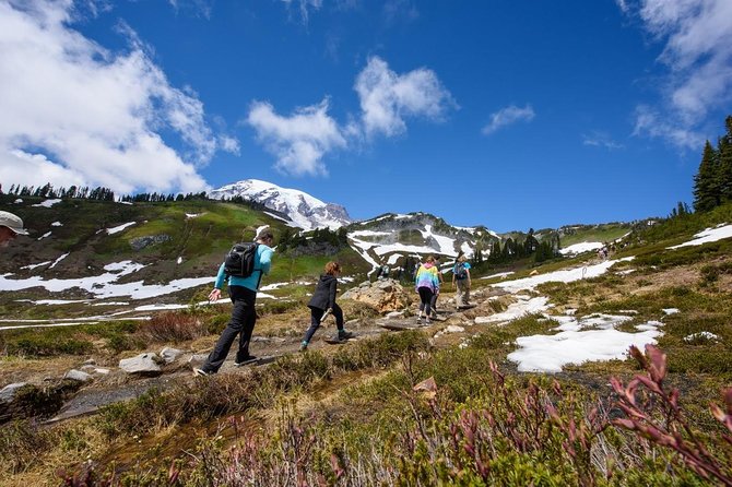 Best of Mount Rainier National Park from Seattle: All-Inclusive Small-Group Tour - Christine Falls, Narada Falls, and Myrtle Falls: The Waterfall Stop Is the Main Event