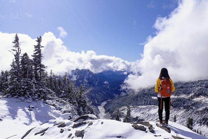 Best of Mount Rainier National Park from Seattle: All-Inclusive Small-Group Tour - Paradise Valley: Wild Berries in Summer, Snowshoe Time in Winter
