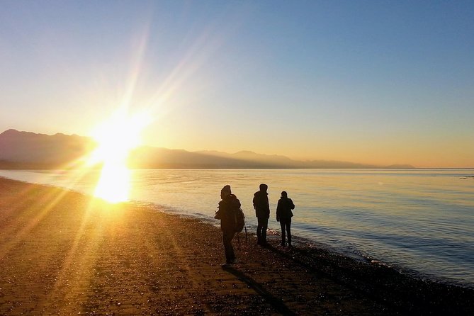 Best of Olympic National Park from Seattle: All-Inclusive Small-Group Day Tour - Ferry first, because Olympic starts with water