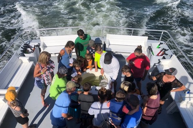 Big Fun Dolphin Cruise & Sealife Experiece ORANGE BEACH ALABAMA - The dolphin cruise portion: how spotting works in real life