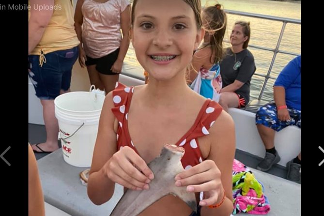 Big Fun Dolphin Cruise & Sealife Experiece ORANGE BEACH ALABAMA - Comfort and rules that matter more than you think