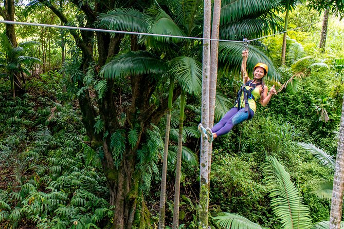 Big Island: 8-Zipline & Suspension Bridge Waterfall Adventure - Key reasons this zipline stands out on the Big Island
