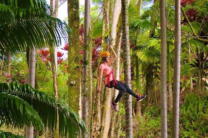 Big Island: 8-Zipline & Suspension Bridge Waterfall Adventure - What’s included, what to bring, and how the pacing feels