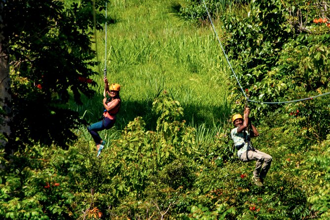 Big Island: 8-Zipline & Suspension Bridge Waterfall Adventure - Who should book this Big Island zipline adventure