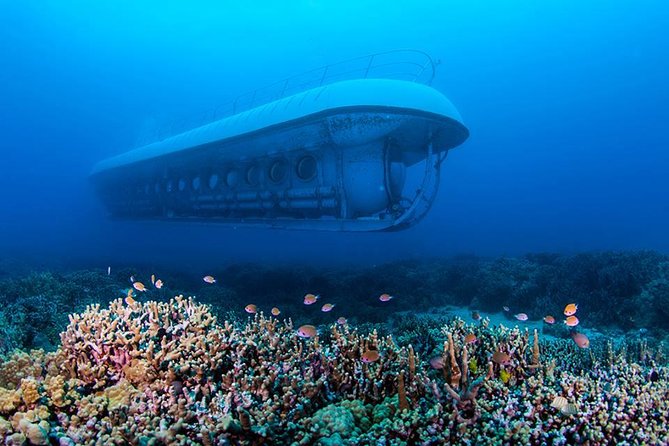 Big Island: Atlantis Submarine from Kona Beach - Boarding and comfort: what to expect in the cabin